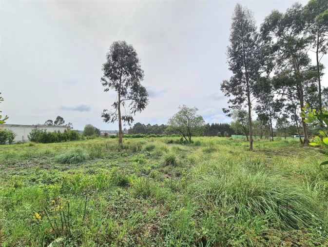 Terreno para Venda em Rio Meão Foto 1