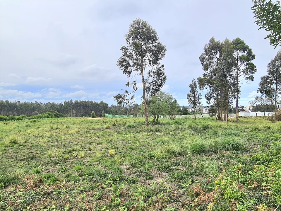 Terreno para Venda em Rio Meão Foto 2