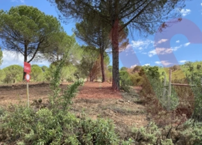 Quinta T0 para Venda em São Bartolomeu de Messines Foto 12
