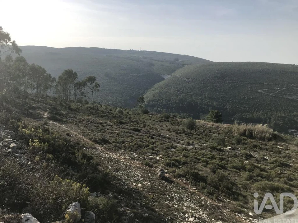 Moradia T2 para Venda em Serro Ventoso Foto 24