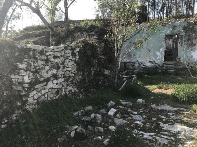 Moradia T2 para Venda em Serro Ventoso Foto 4