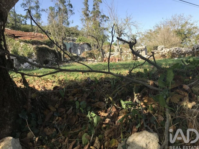 Moradia T2 para Venda em Serro Ventoso Foto 20