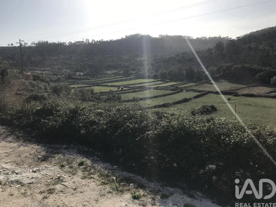 Moradia T2 para Venda em Serro Ventoso Foto 23