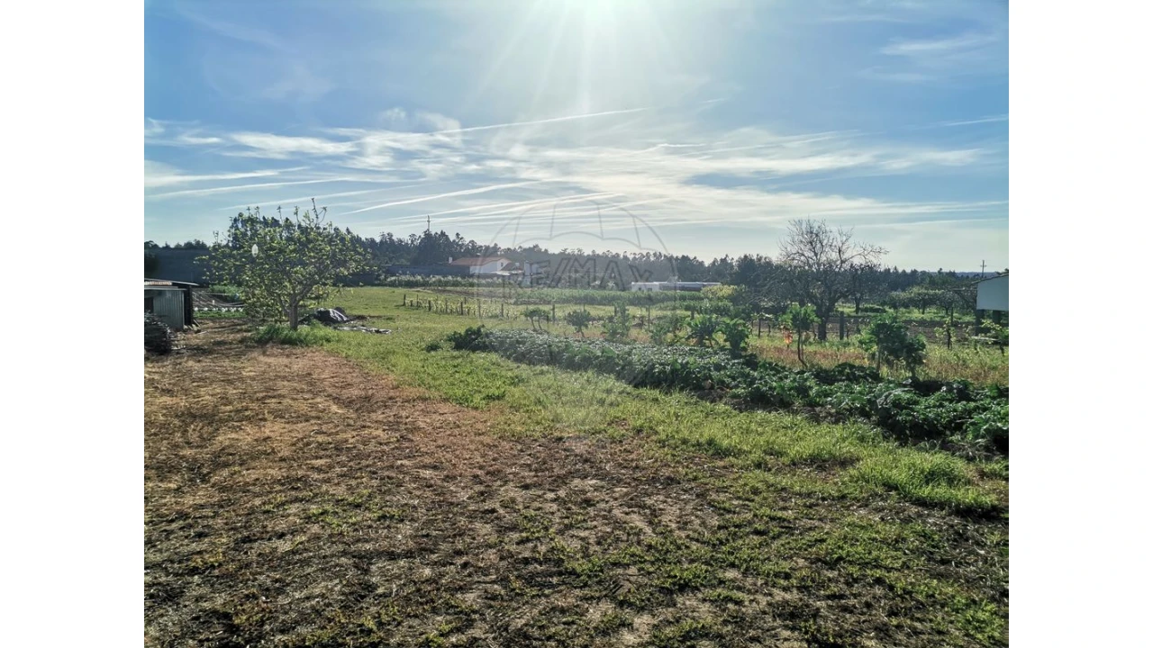 Terreno para Venda em Seixo de Gatões Foto 7