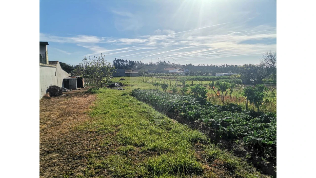 Terreno para Venda em Seixo de Gatões Foto 5