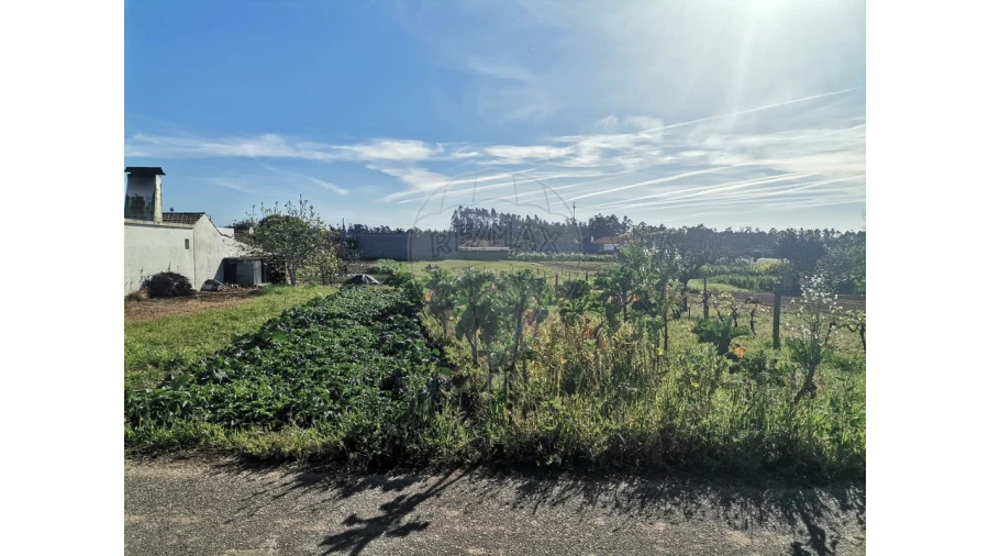 Terreno para Venda em Seixo de Gatões Foto 6