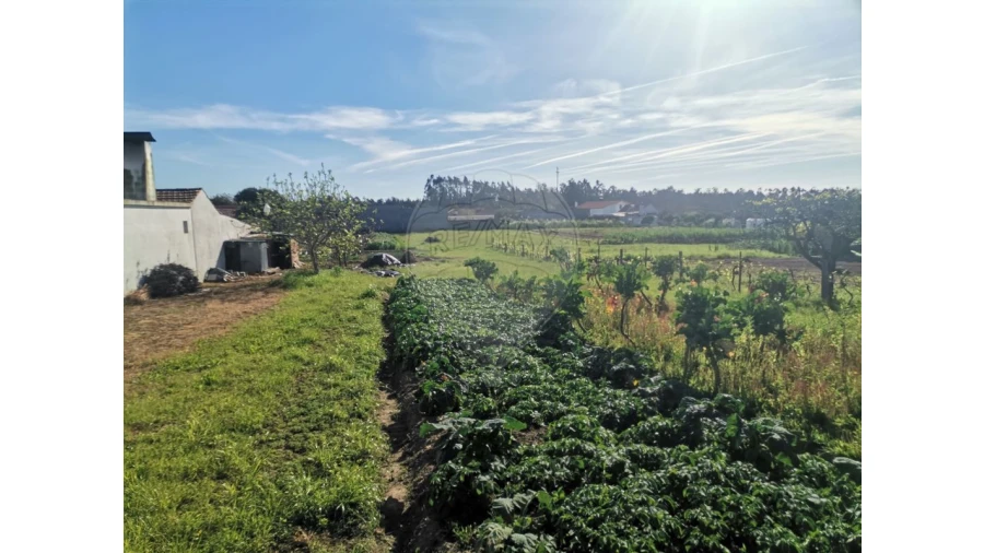 Terreno para Venda em Seixo de Gatões Foto 4