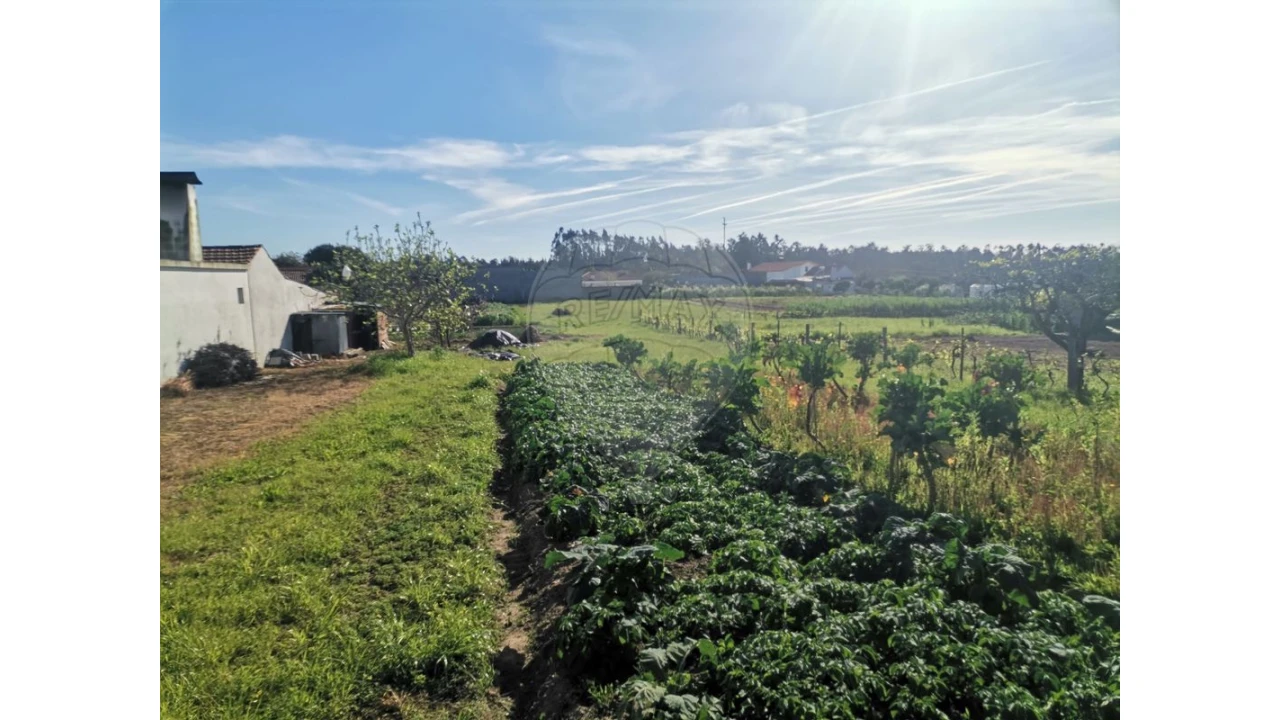 Terreno para Venda em Seixo de Gatões Foto 4