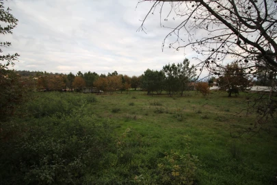 Terreno para Venda em Romãs, Decermilo e Vila Longa