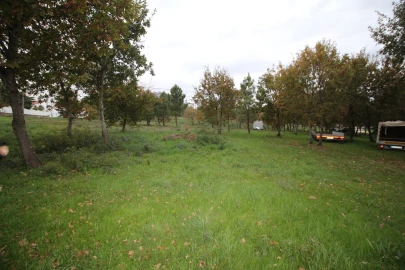 Terreno para Venda em Romãs, Decermilo e Vila Longa