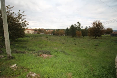 Terreno para Venda em Romãs, Decermilo e Vila Longa