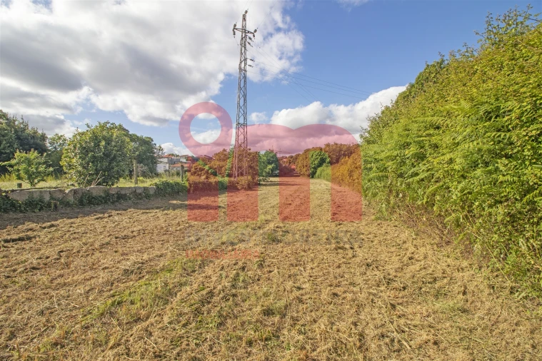 Terreno para Venda em Vila das Aves Foto 2