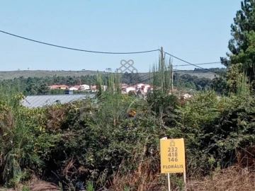 Terreno para Venda em Mangualde, Mesquitela e Cunha Alta