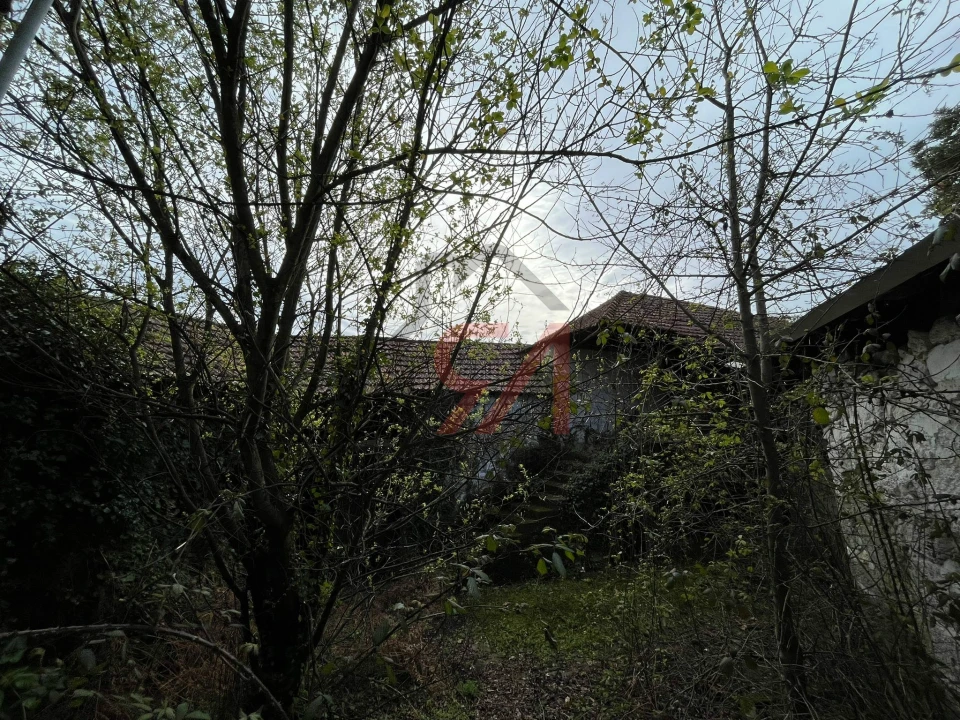 Moradia T0 para Venda em Frazão Arreigada Foto 34