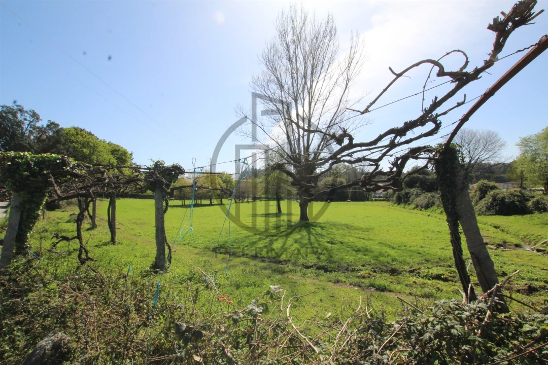 Terreno para Venda em Carreira e Bente Foto 2
