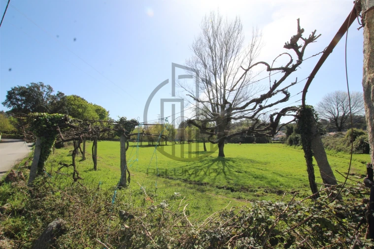 Terreno para Venda em Carreira e Bente Foto 1
