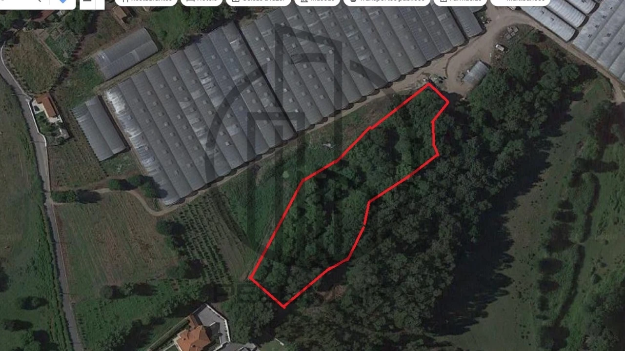 Terreno para Venda em Carreira e Bente Foto 4