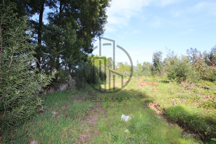 Terreno para Venda em Carreira e Bente Foto 1