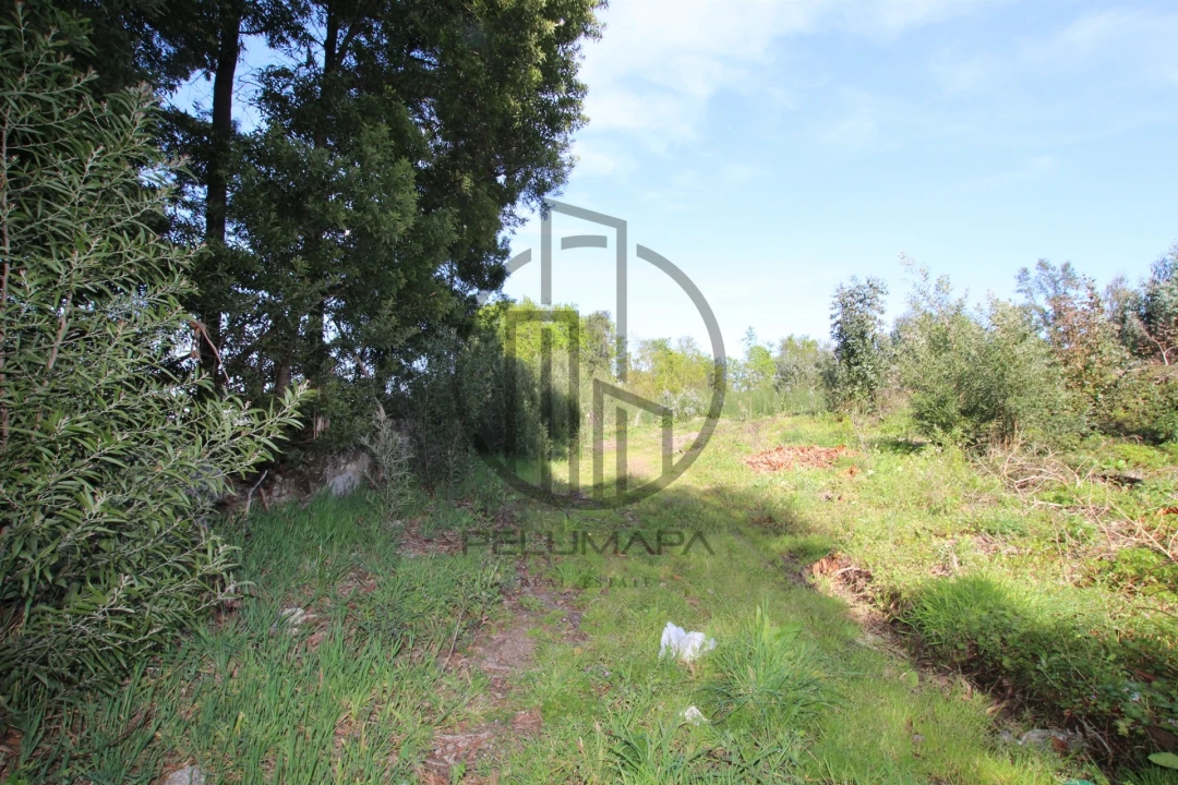 Terreno para Venda em Carreira e Bente Foto 1