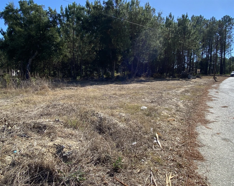 Terreno para Venda em Marinha Grande Foto 5