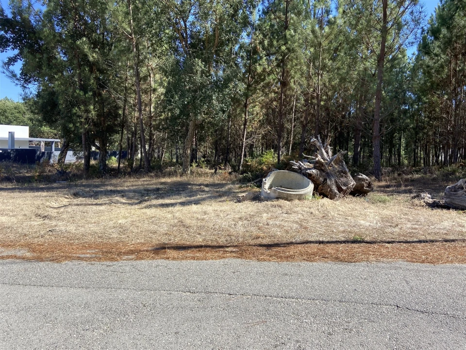 Terreno para Venda em Marinha Grande Foto 3