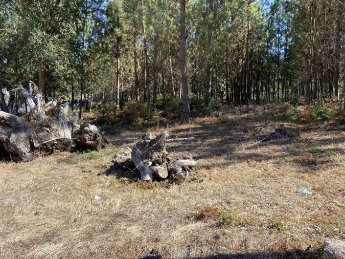 Terreno para Venda em Marinha Grande Foto 4