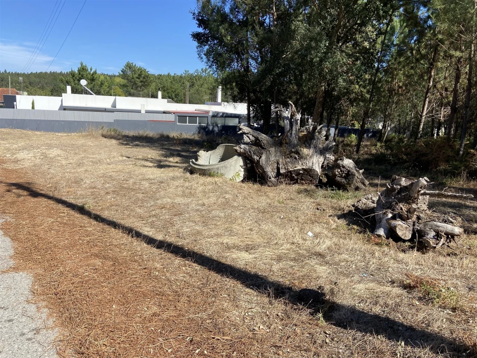 Terreno para Venda em Marinha Grande Foto 1