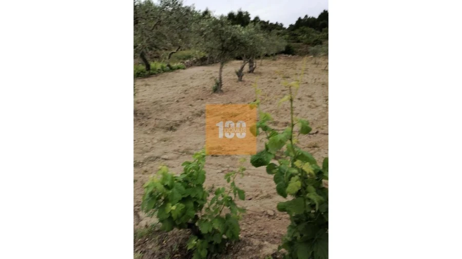 Terreno para Venda em Vilarinho da Castanheira Foto 4