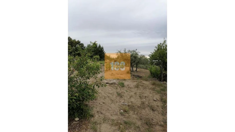 Terreno para Venda em Vilarinho da Castanheira Foto 5