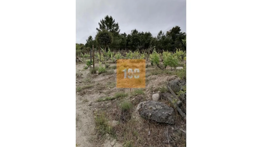 Terreno para Venda em Vilarinho da Castanheira Foto 15