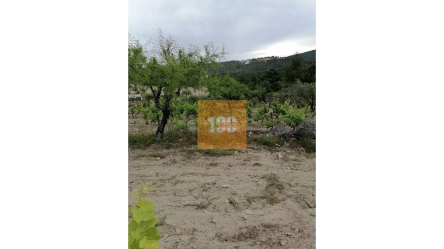 Terreno para Venda em Vilarinho da Castanheira Foto 17