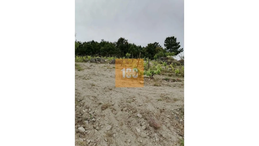 Terreno para Venda em Vilarinho da Castanheira Foto 18