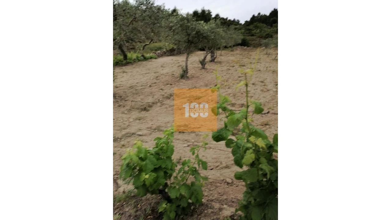 Terreno para Venda em Vilarinho da Castanheira Foto 4