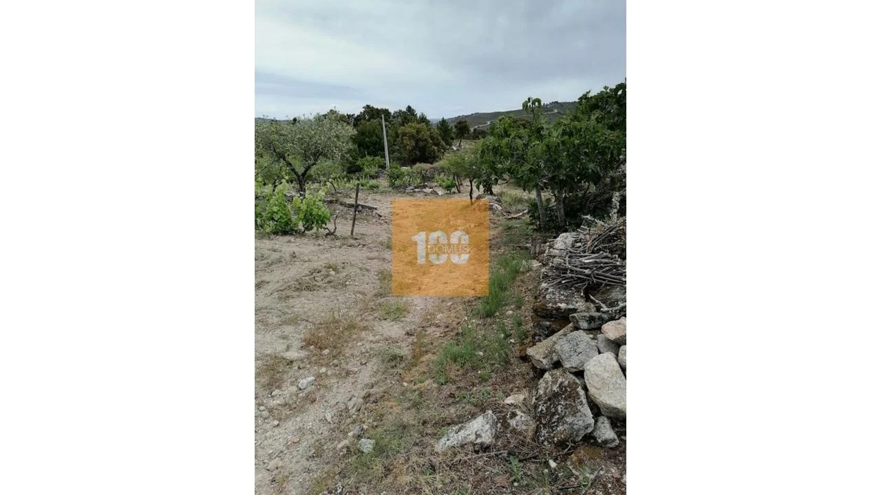 Terreno para Venda em Vilarinho da Castanheira Foto 7