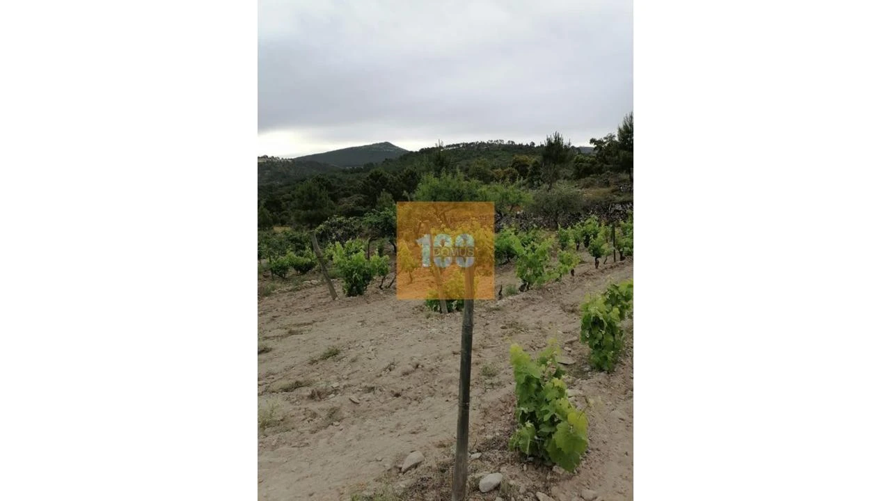 Terreno para Venda em Vilarinho da Castanheira Foto 10