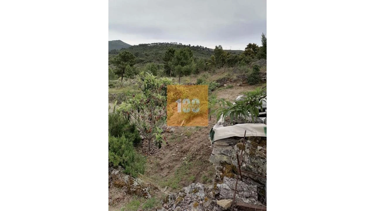 Terreno para Venda em Vilarinho da Castanheira Foto 12