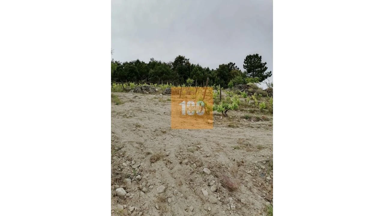 Terreno para Venda em Vilarinho da Castanheira Foto 18