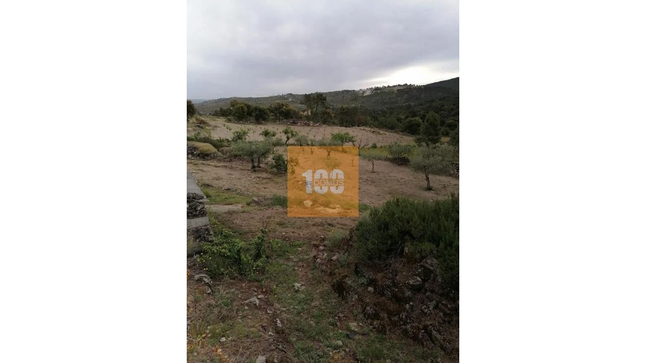Terreno para Venda em Vilarinho da Castanheira Foto 21