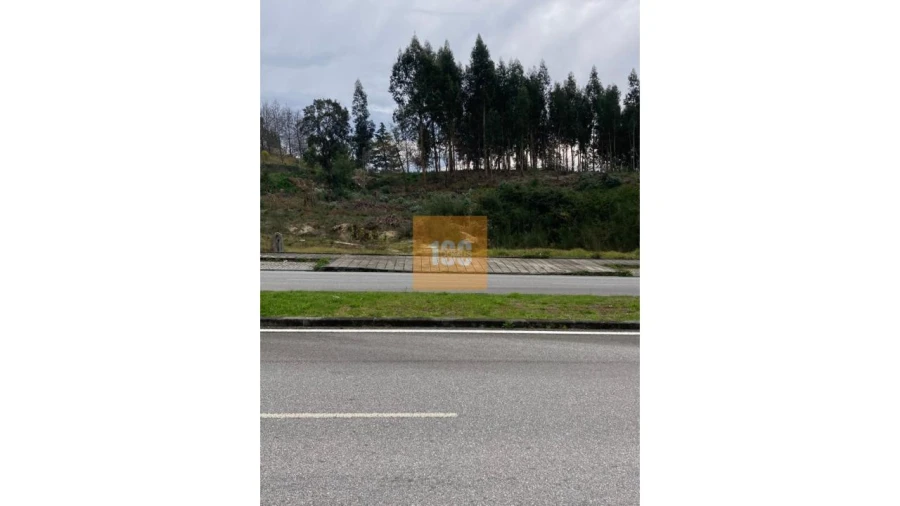 Terreno para Venda em Cristelos, Boim e Ordem Foto 6