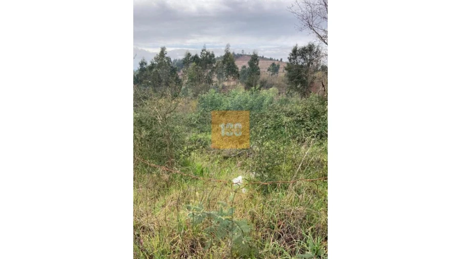 Terreno para Venda em Cristelos, Boim e Ordem Foto 11