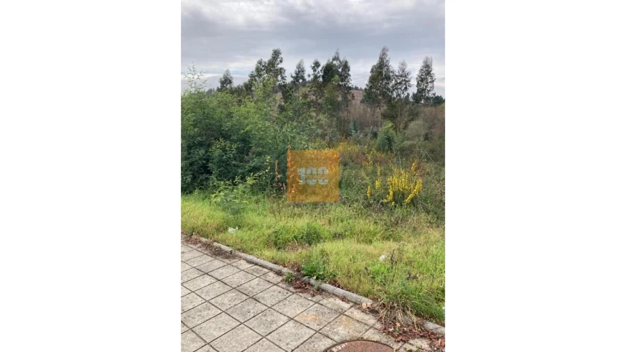 Terreno para Venda em Cristelos, Boim e Ordem Foto 12