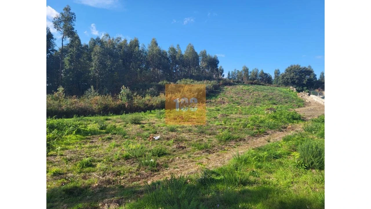 Terreno para Venda em Vila Boa do Bispo Foto 6