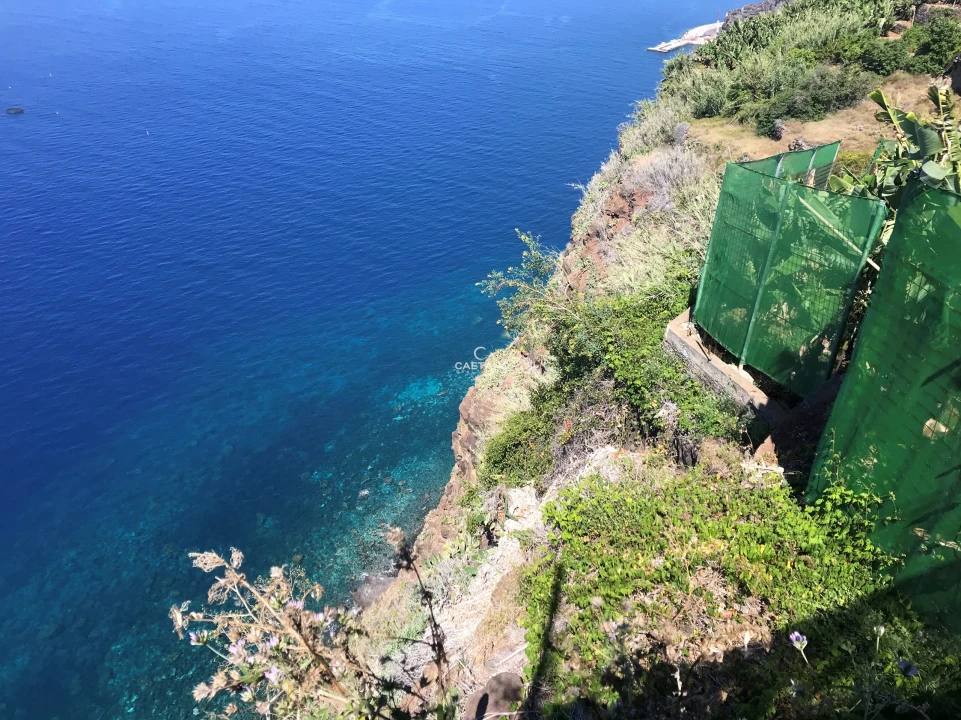 Terreno para Venda em Ribeira Brava Foto 1
