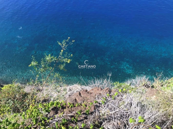 Terreno para Venda em Ribeira Brava Foto 3