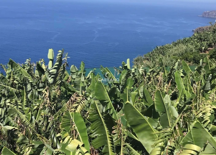 Terreno para Venda em Ribeira Brava Foto 2