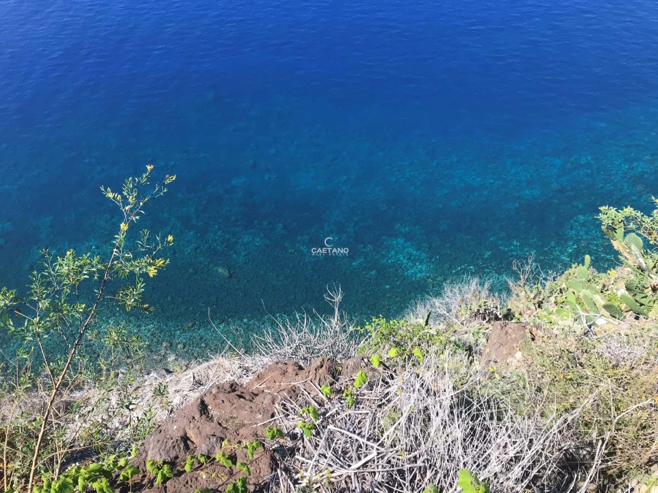 Terreno para Venda em Ribeira Brava Foto 4