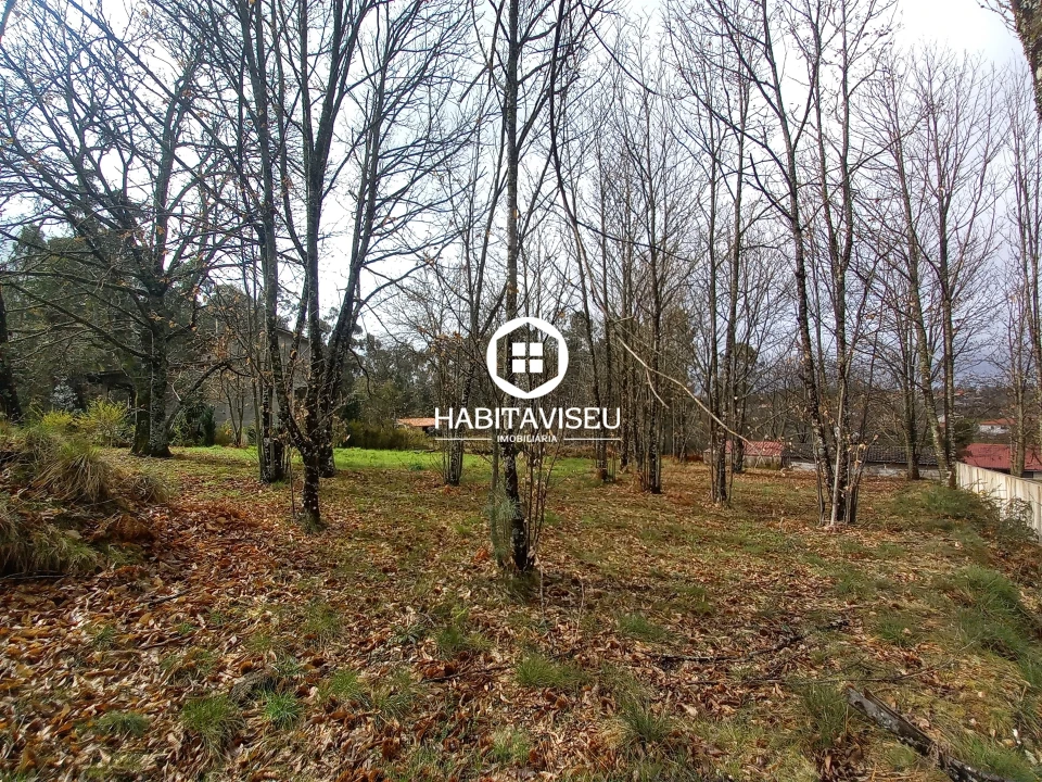 Terreno para Venda em Satão Foto 4