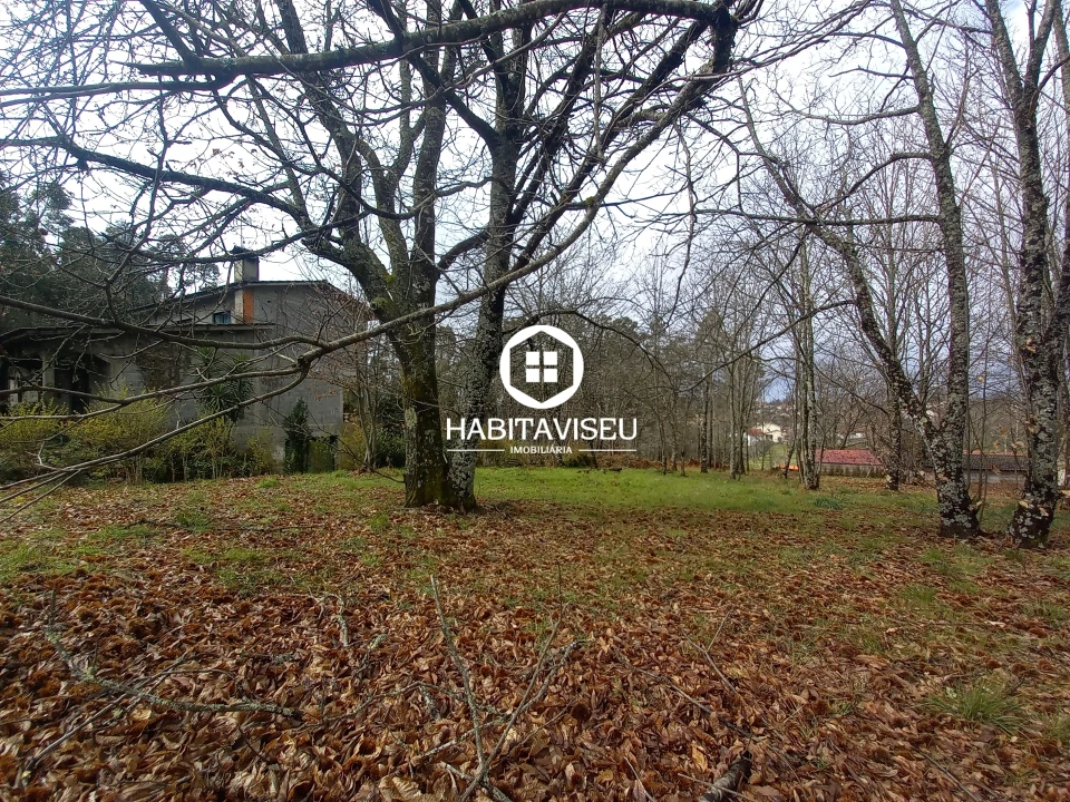 Terreno para Venda em Satão Foto 5