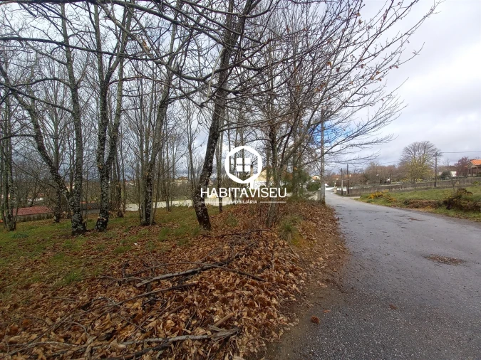 Terreno para Venda em Satão Foto 7