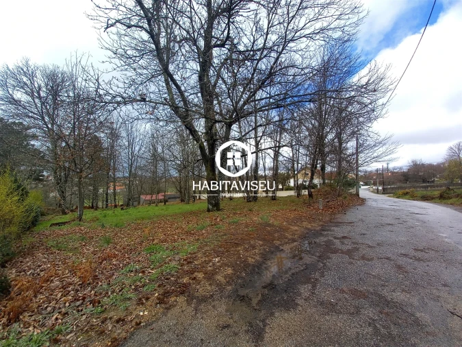 Terreno para Venda em Satão Foto 9